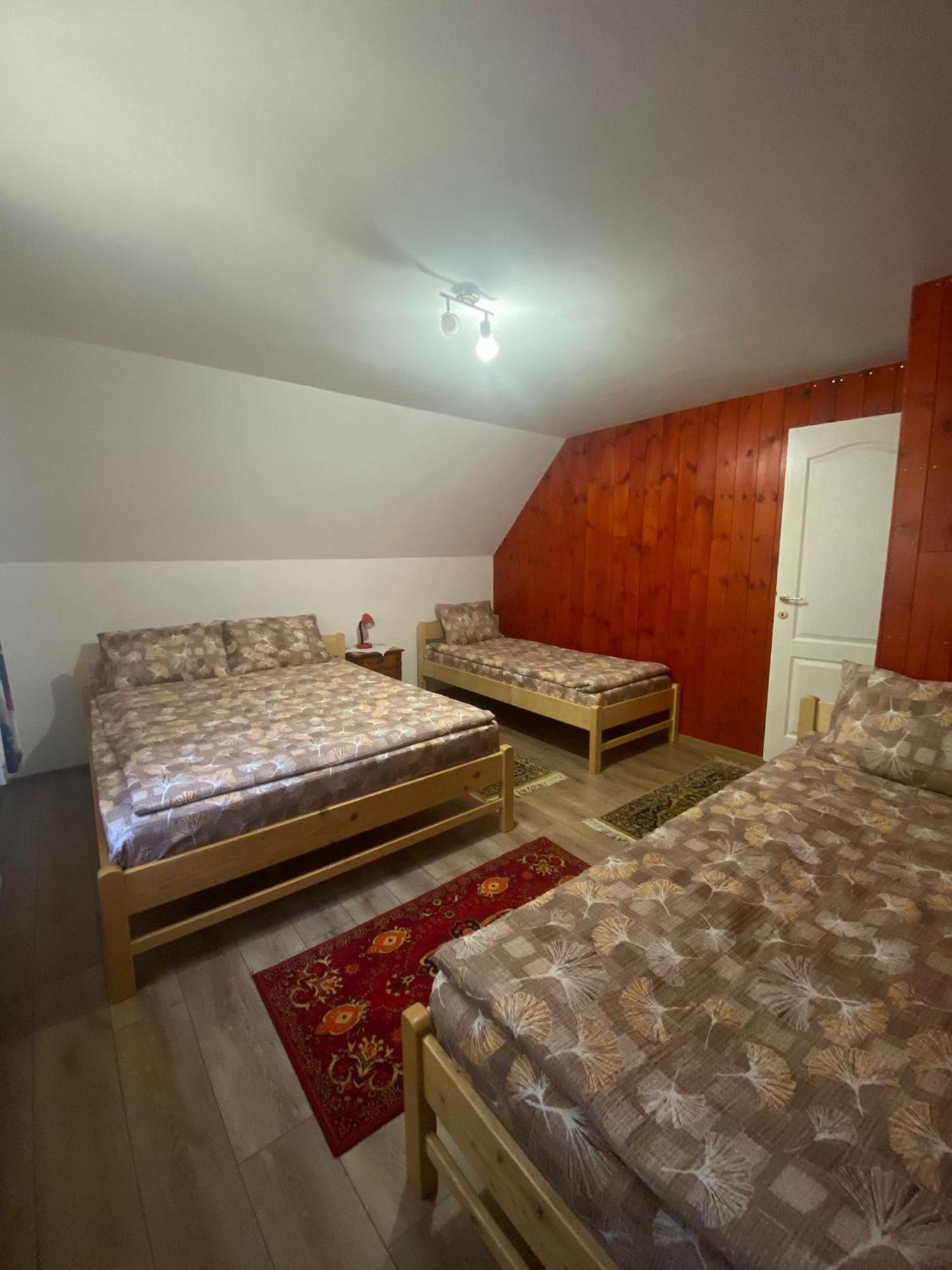 Cabana Veverita Sîntimbru-Băi エクステリア 写真