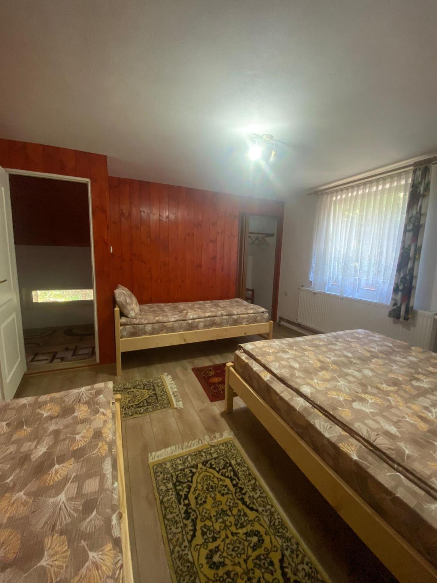 Cabana Veverita Sîntimbru-Băi エクステリア 写真